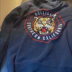Mens Hollister Hoodie | M